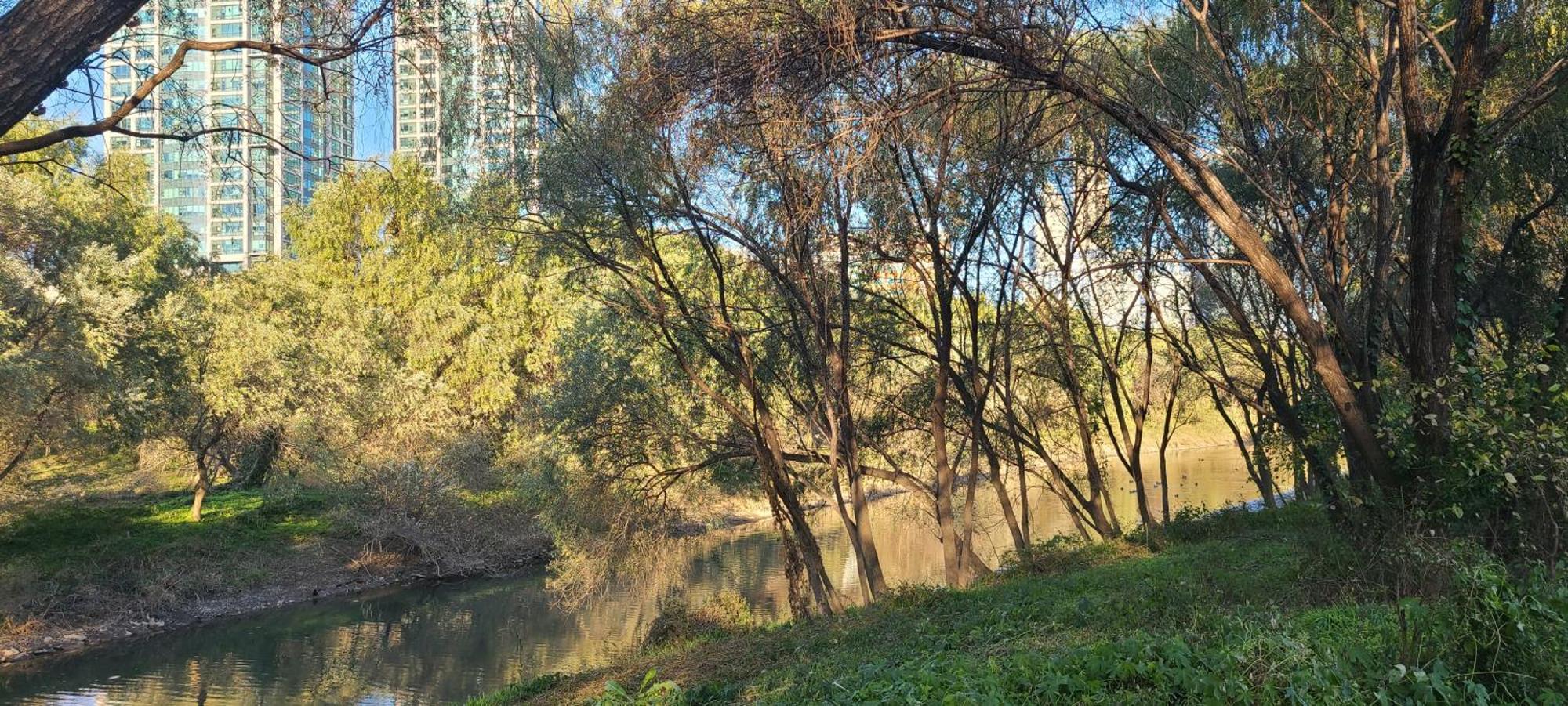 سيول Yeouido Stay المظهر الخارجي الصورة